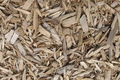 biomass boilers Sporle